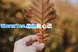 谁为我心动