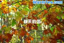 秋天的信