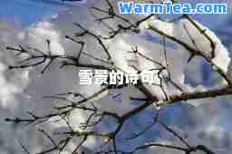 雪景的诗句