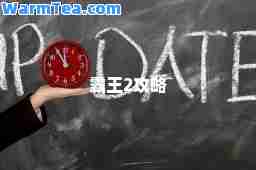 霸王2攻略
