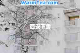 西安下雪