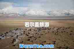若尔盖旅游