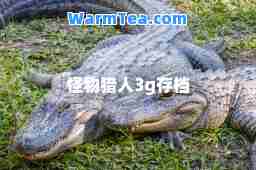 怪物猎人3g存档