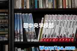 团中央学校部