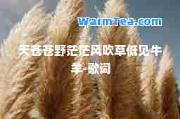 天苍苍野茫茫风吹草低见牛羊-歌词 天苍苍野茫茫风吹草低见牛羊-歌词