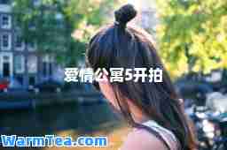 爱情公寓5开拍