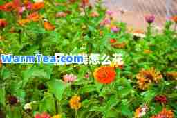 压岁钱怎么花