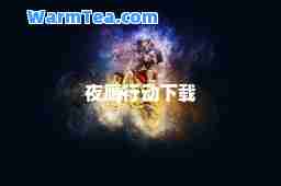 夜鹰行动下载