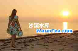 沙溪水库