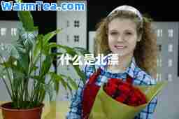 什么是北漂