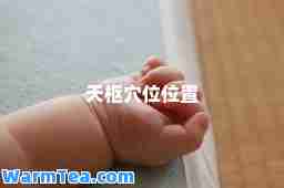 天枢穴位位置
