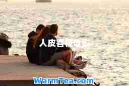 人皮客栈电影