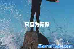 只因为有你