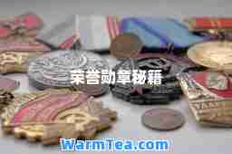 荣誉勋章秘籍