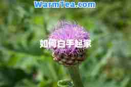 如何白手起家
