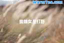 蜘蛛女皇打野
