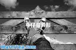 牛仔与异形