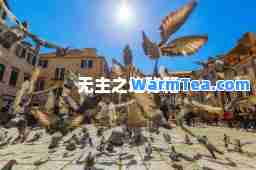 无主之地秘籍