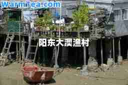 阳东大澳渔村