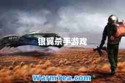 银翼游戏