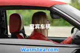 宜宾车祸