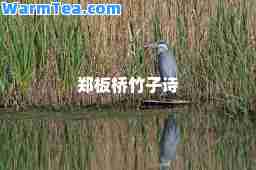 郑板桥竹子诗