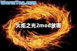 火炬之光2mod放哪