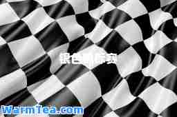 银色锦标赛