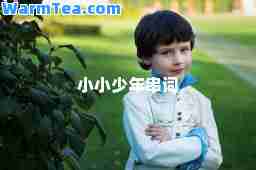 小小少年串词