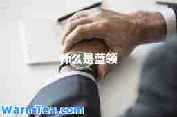 什么是蓝领