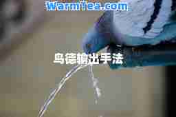 鸟德输出手法