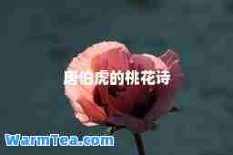 唐伯虎的桃花诗