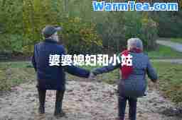 婆婆媳妇和小姑