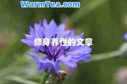 修身养性的文章