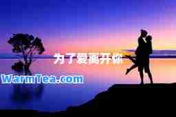 为了爱离开你