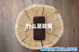 什么是软驱
