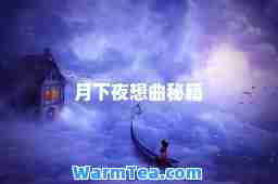 月下夜想曲秘籍
