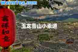 玉龙雪山小索道