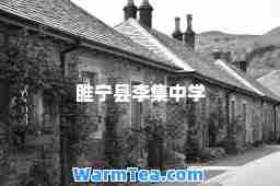 睢宁县李集中学