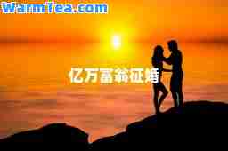 亿万富翁征婚