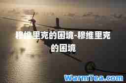 穆维里克的困境-穆维里克的困境