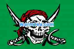 我的大佬是女王 我的大佬是女王