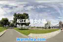 松江泰晤士小镇