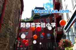 阳春市实验小学