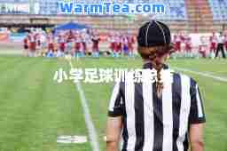 小学足球训练总结