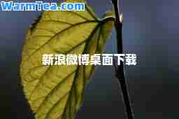 新浪微博桌面下载