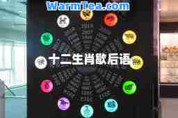 十二生肖歇后语