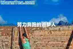努力奔跑的追梦人