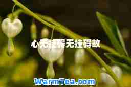 心无挂碍无挂碍故