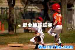 职业棒球联赛